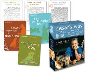 Cesar's Way Deck: 50 Tips for Training and Understanding Your Dog de Cesar Millan