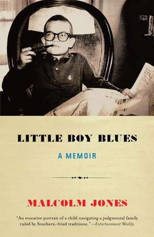 Little Boy Blues: The Lives of Three Puerto Rican Brothers on and Off the Streets de Malcolm Jones