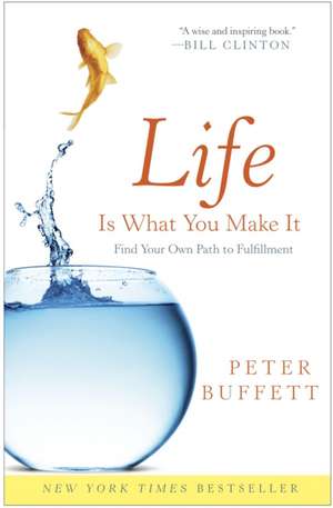 Life Is What You Make It de Peter Buffett