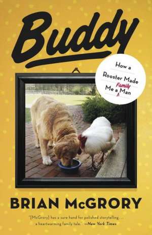 Buddy: How a Rooster Made Me a Family Man de Brian McGrory