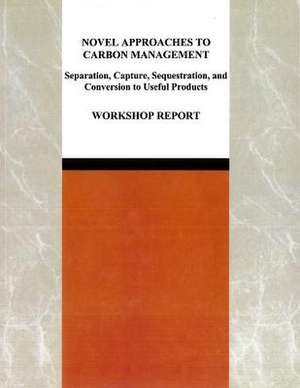 Novel Approaches to Carbon Management: Separation, Capture, Sequestration, and Conversion to Useful Products - Workshop Report de Committee on Novel Approaches to the Man