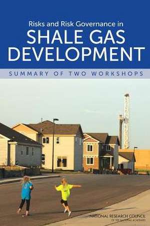 Risks and Risk Governance in Shale Gas Development: Summary of Two Workshops de Paul C. Stern