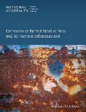 Corrosion of Buried Steel at New and In-Service Infrastructure de National Academies Of Sciences Engineeri