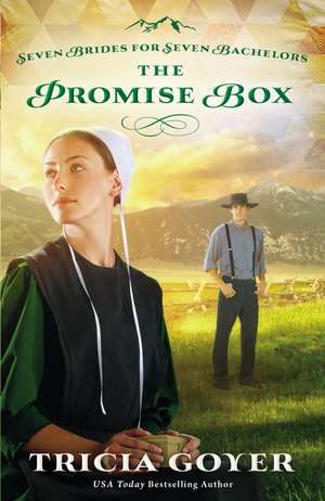 The Promise Box de Tricia Goyer