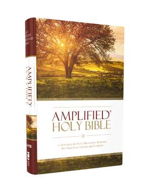 Amplified Bible-Am de Zondervan
