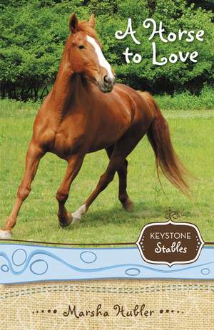 A Horse to Love de Marsha Hubler