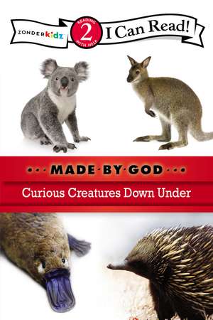 Curious Creatures Down Under: Level 2 de Zondervan