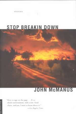 Stop Breakin Down de John C. McManus