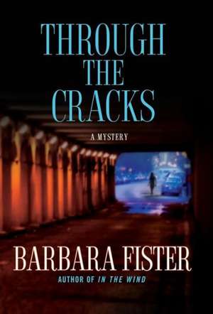 Through the Cracks de Barbara Fister