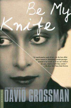 Be My Knife de David Grossman