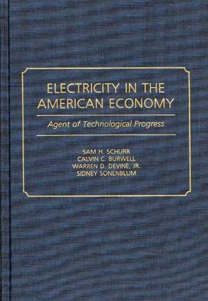 Electricity in the American Economy: Agent of Technological Progress de Sam H. Schurr