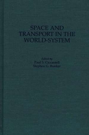 Space and Transport in the World-System de Stephen G. Bunker