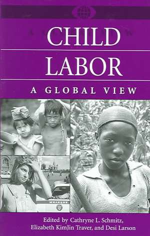 Child Labor: A Global View de Cathryne L. Schmitz