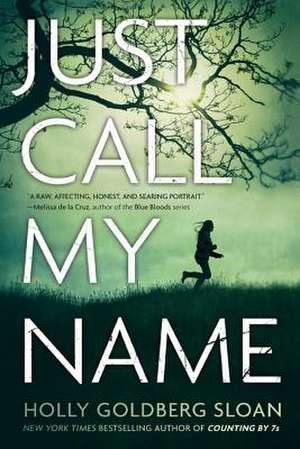 Just Call My Name de Holly Goldberg Sloan