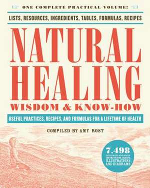 Natural Healing Wisdom & Know How: Useful Practices, Recipes, and Formulas for a Lifetime of Health de Amy Rost