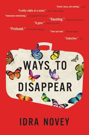 Ways to Disappear de Idra Novey