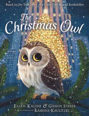 The Christmas Owl de Gideon Sterer