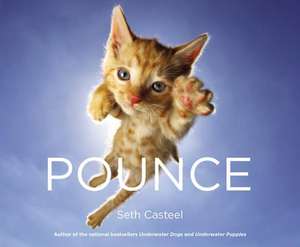 Pounce de Seth Casteel