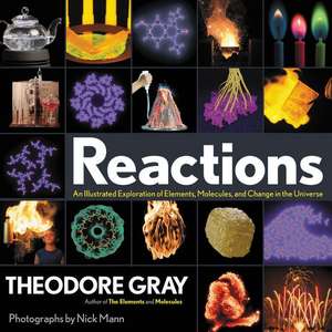 Reactions: An Illustrated Exploration of Elements, Molecules, and Change in the Universe de Theodore Gray