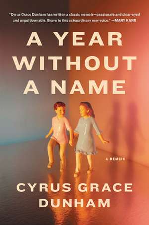 A Year Without a Name de Cyrus Dunham