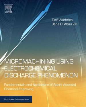 Micromachining Using Electrochemical Discharge Phenomenon: Fundamentals and Application of Spark Assisted Chemical Engraving de Rolf Wuthrich