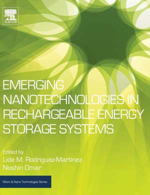 Emerging Nanotechnologies in Rechargeable Energy Storage Systems de Lide M Rodriguez-Martinez