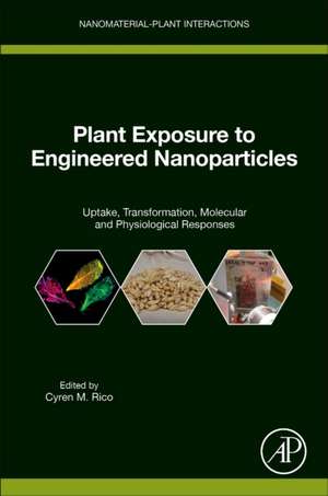 Plant Exposure to Engineered Nanoparticles: Uptake, Transformation, Molecular and Physiological Responses de Cyren Rico