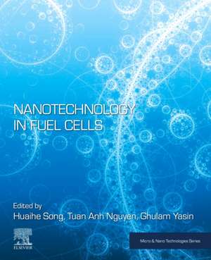 Nanotechnology in Fuel Cells de Huaihe Song