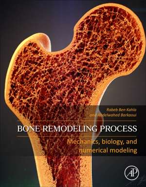 Bone Remodeling Process: Mechanics, Biology, and Numerical Modeling de Rabeb Ben Kahla