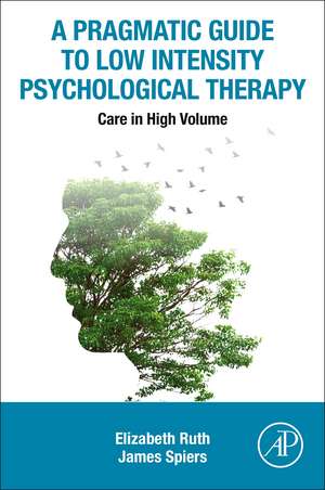 A Pragmatic Guide to Low Intensity Psychological Therapy: Care in High Volume de Elizabeth Ruth