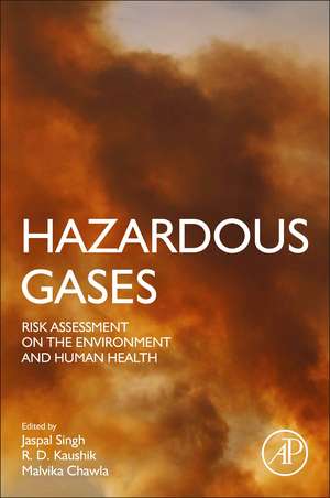 Hazardous Gases: Risk Assessment on the Environment and Human Health de Jaspal Singh