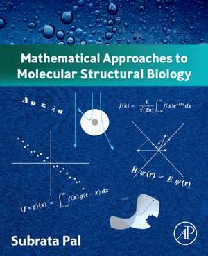 Mathematical Approaches to Molecular Structural Biology de Subrata Pal