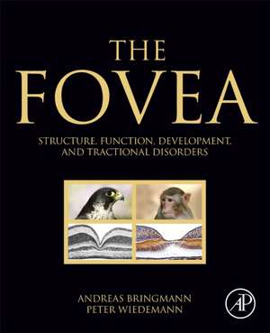 The Fovea: Structure, Function, Development, and Tractional Disorders de Andreas Bringmann