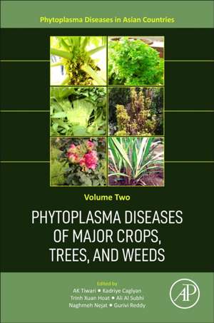 Phytoplasma Diseases of Major Crops, Trees, and Weeds de A. K. Tiwari