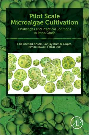 Pilot Scale Microalgae Cultivation: Challenges and Practical Solutions to Pond Crash de Faiz Ahmad Ansari