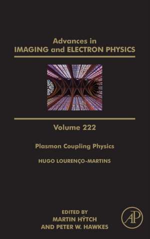 Plasmon Coupling Physics de Martin Hÿtch