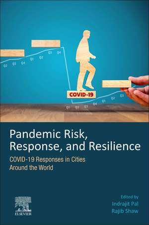 Pandemic Risk, Response, and Resilience: COVID-19 Responses in Cities Around the World de Indrajit Pal