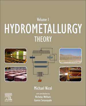 Hydrometallurgy: Theory de Michael Nicol