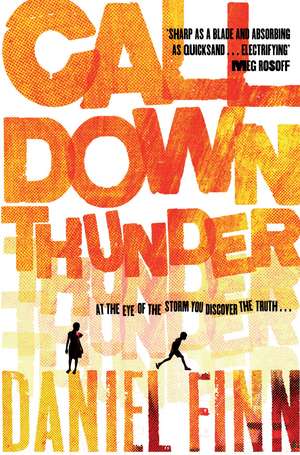 Call Down Thunder de Daniel Finn