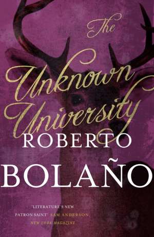 The Unknown University de Roberto Bolano