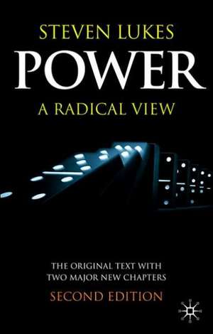 Power: A Radical View de Steven Lukes