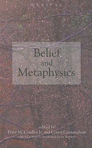 Belief and Metaphysics de Peter M. Candler