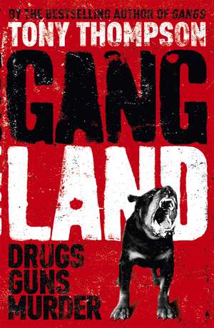 Gang Land: From footsoldiers to kingpins, the search for Mr Big de Tony Thompson