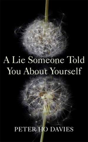 Davies, P: A Lie Someone Told You About Yourself de Peter Ho Davies