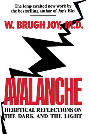 Avalanche: Heretical Reflections on the Dark and the Light de W. Brugh Joy