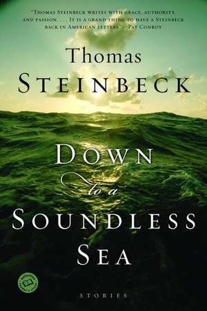 Down to a Soundless Sea de Thomas Steinbeck