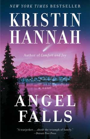 Angel Falls de Kristin Hannah