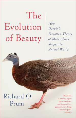 The Evolution of Beauty: How Darwin's Forgotten Theory of Mate Choice Shapes the Animal World - And Us de Richard O. Prum