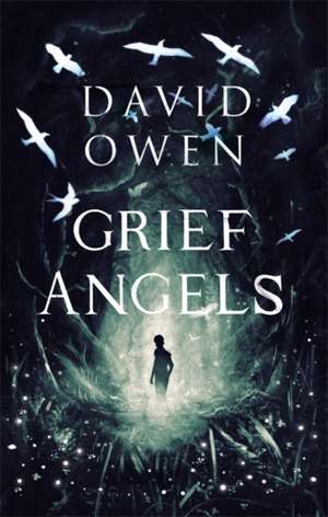 Grief Angels de David Owen