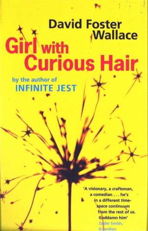 Girl with Curious Hair de David Foster Wallace